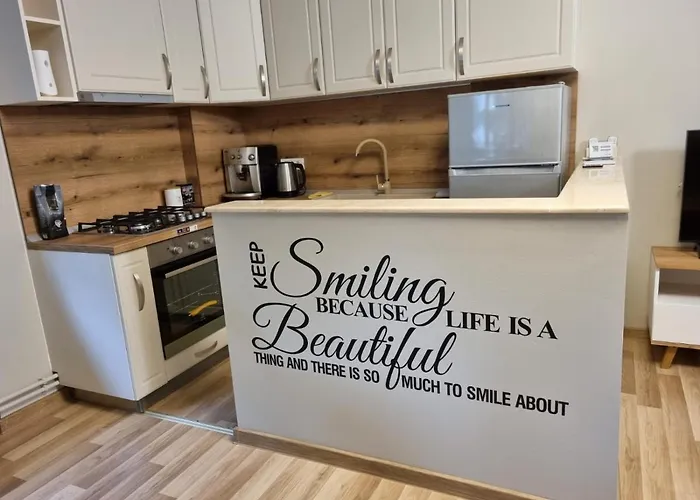 Center Dream Lägenhet Timişoara