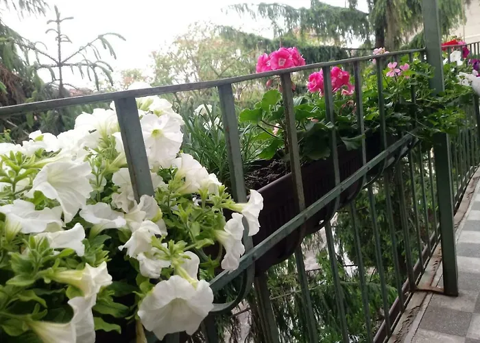 Center Dream Lägenhet