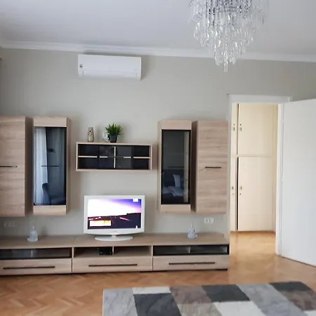 Center Dream 티미쇼아라