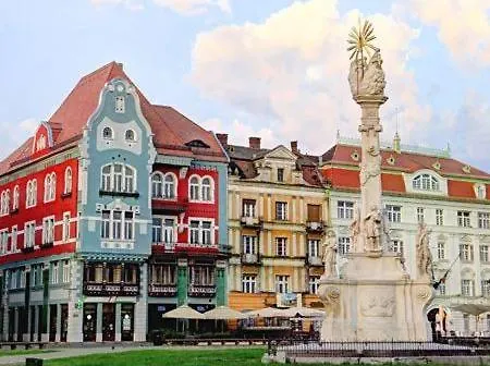 Center Dream * 티미쇼아라