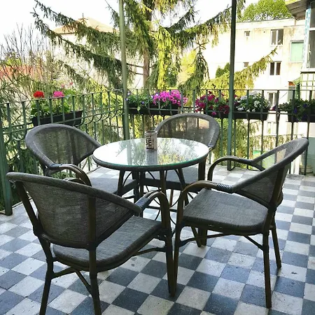 Center Dream 티미쇼아라