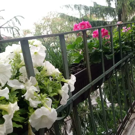 Center Dream 아파트